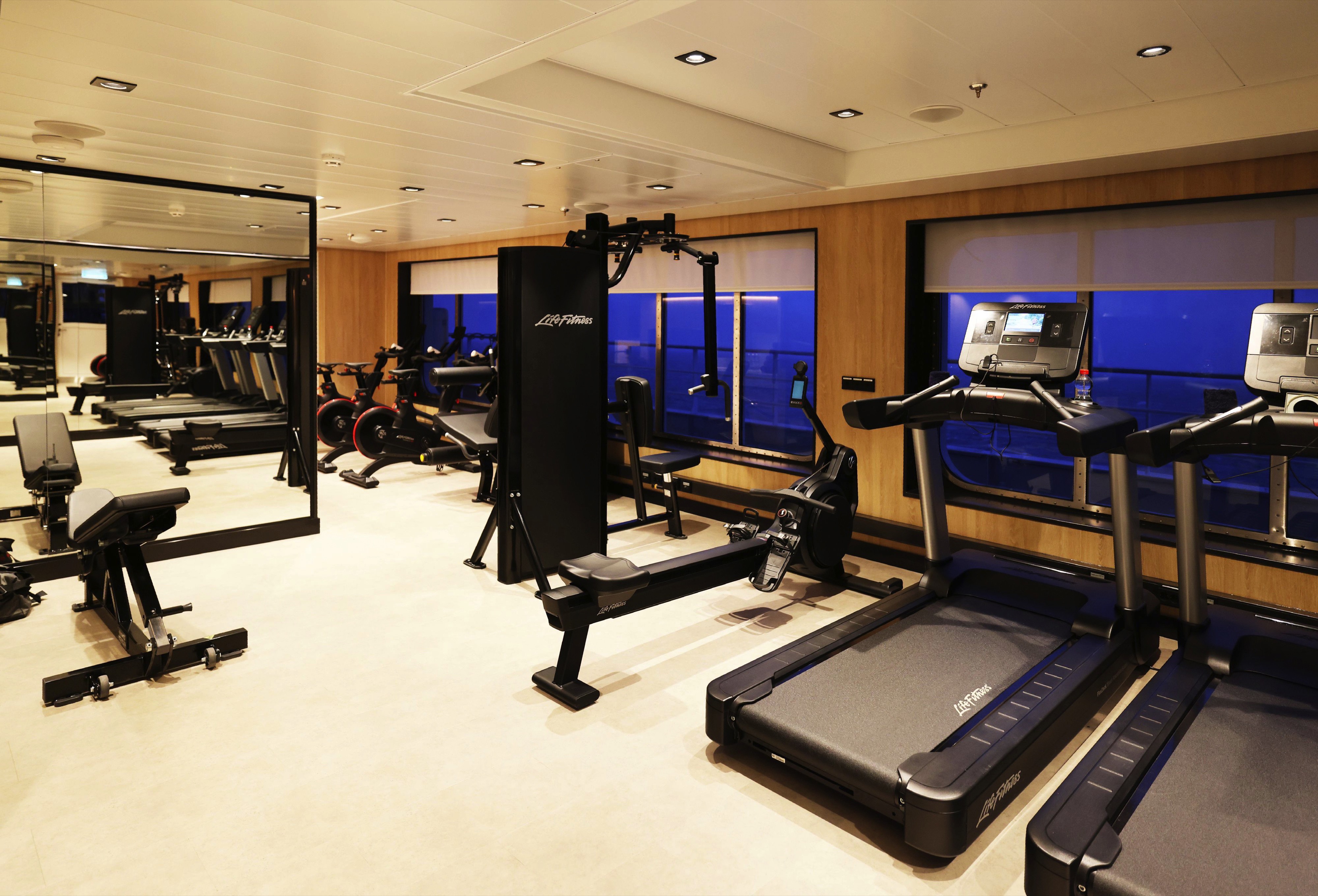 Swan Hellenic SH Vega SH Minerva Gym 3.jpg